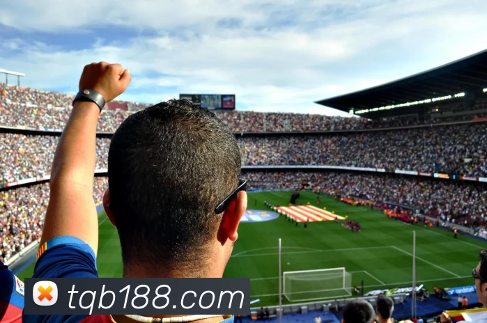 谈球吧官网平台生态图