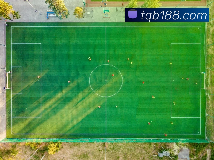 谈球吧官网APP 封面图